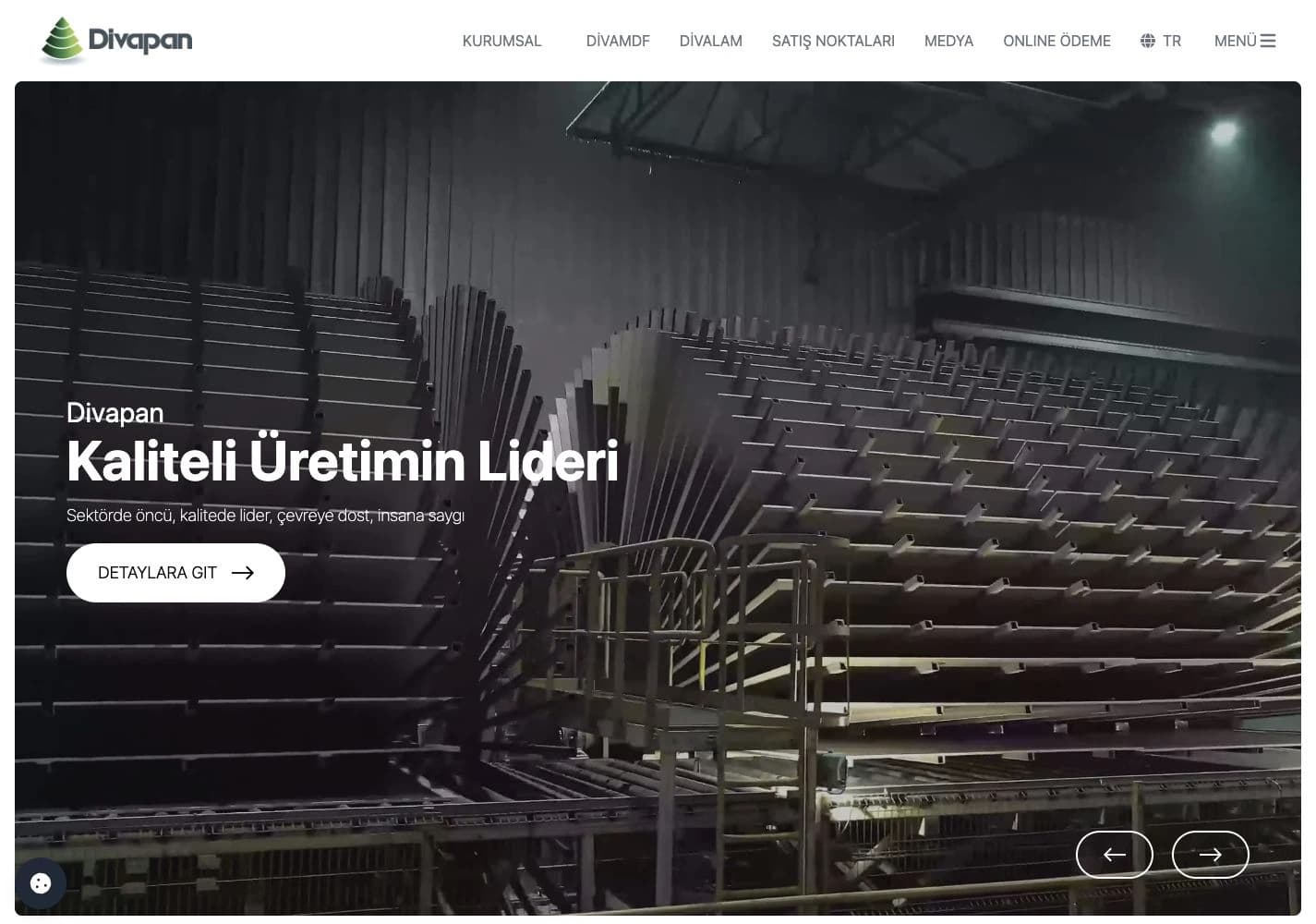 Divapan web sitesinden bir görünüm
